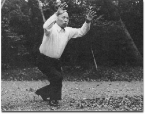 SAWAI SENSEI SHOWING HIS TAIKIKEN HAI EXERCISE IN MEIJI JIRO PARK, TOKYO, JAPAN